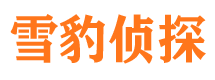 黎川侦探公司